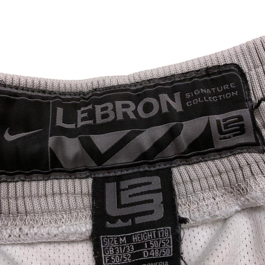 Lebron Nike Shorts (M)