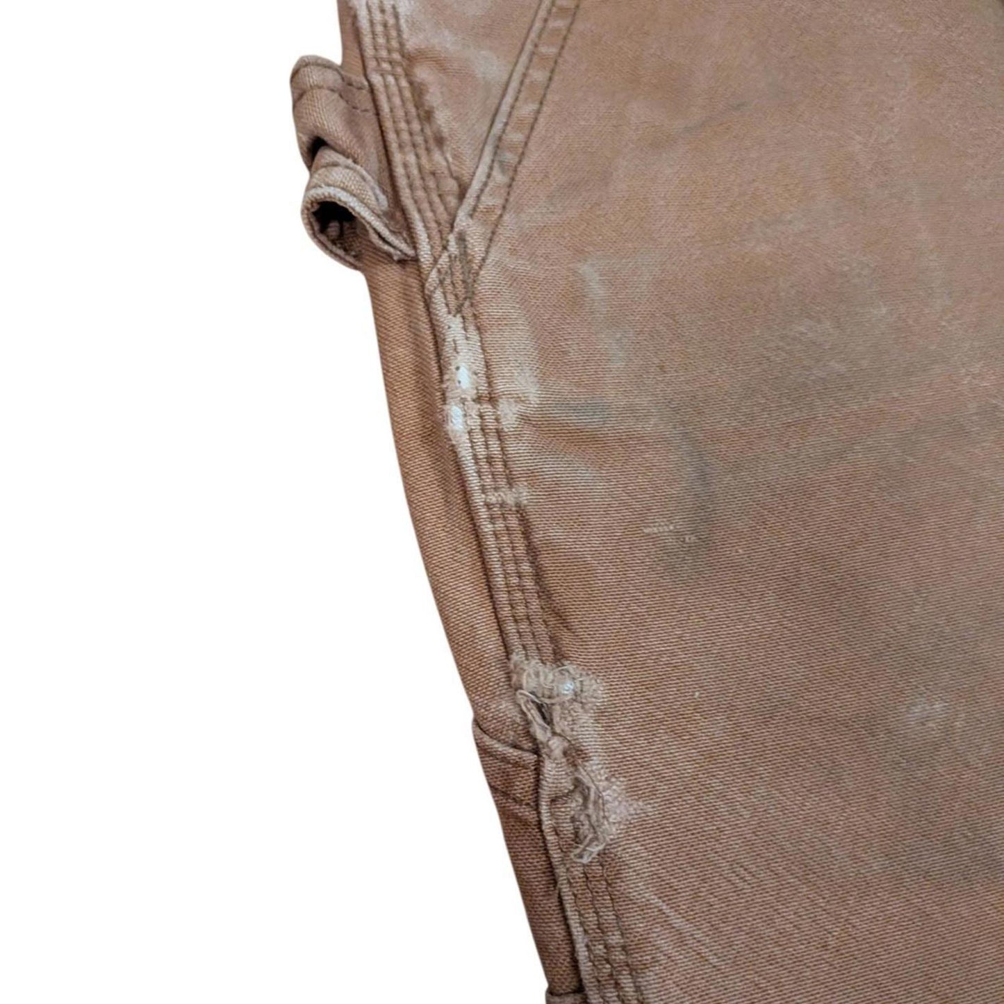 Carhartt Carpenter Pants (34)