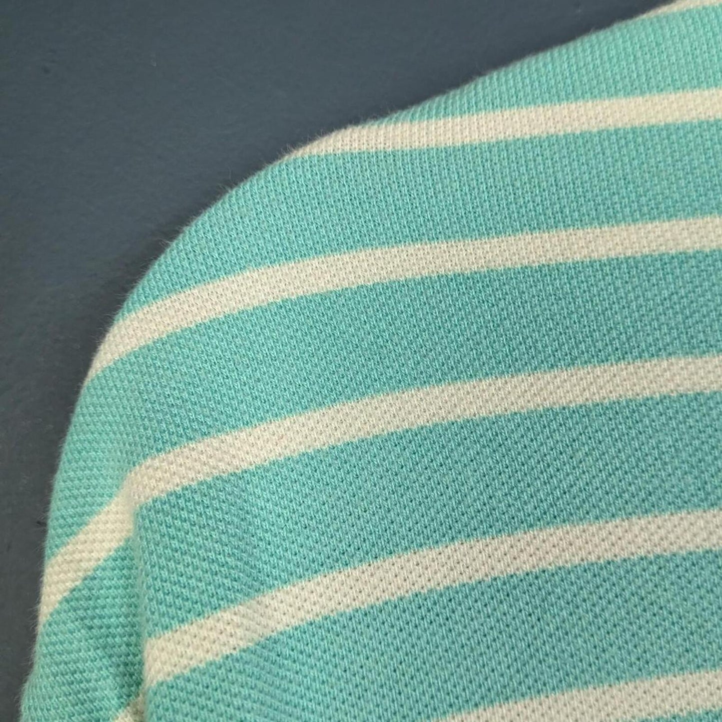 Polo Ralph Lauren Polo Shirt (L)