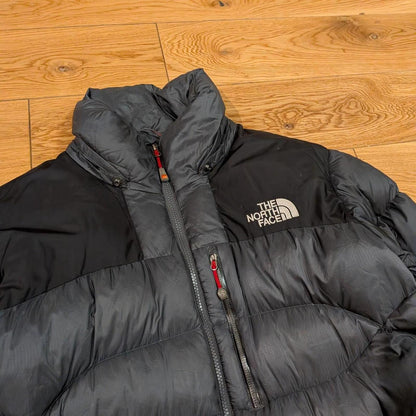 The North Face Down Puffer Jacket (L)